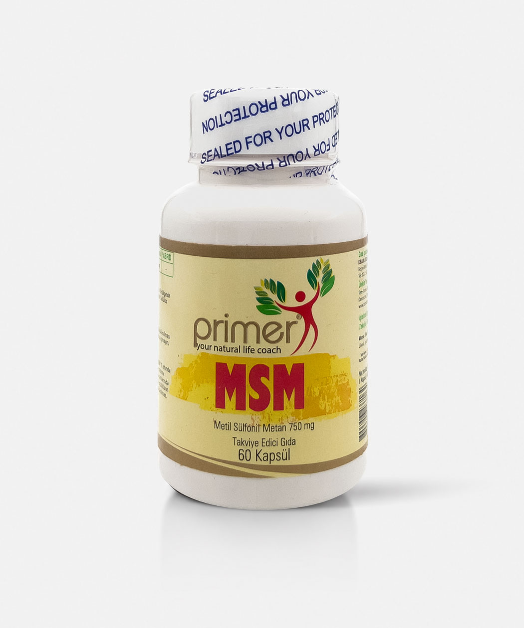 Primer MSM